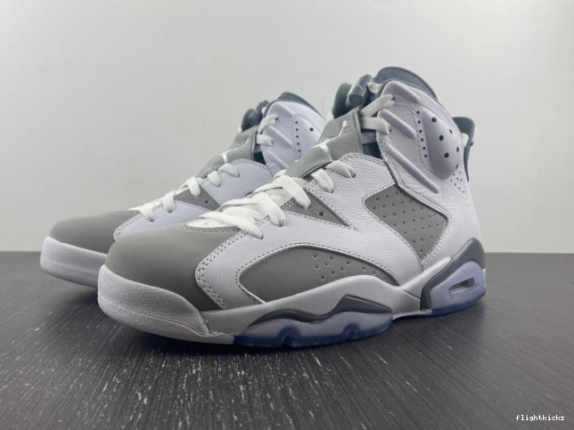 Grey Cool Jordan Air 6 CT8529-100 1213